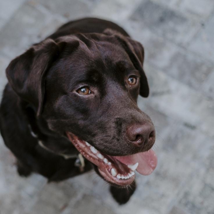 School environment for families in Paris, France